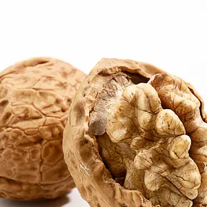 High-quality walnuts from China