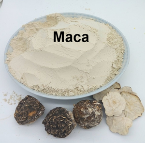 Terrestrilus Terrestris tozu 10:1 40% -60% 90% 95% 98% Protodioscin terrestrilus Terrestris özü - Product Image 6