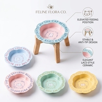 Bols en céramique solides portables surélevés pour petits chiens et chats, ensemble de supports inclinés pour aliments et eau, écologiques, pour usage extérieur