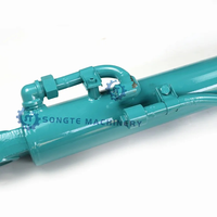 Small Crawler Excavator Single Acting High Pressure IHI55 Bucket Hydraulic Piston Cylinder IHI 55N-2 Chinese Factory Produce