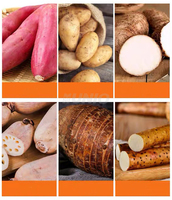 Broyeur humide commercial en acier inoxydable de 800 kg/h pour patate douce, manioc, taro, raffineur de pulpe de fécule, extracteur, séparateur, broyeur d'aliments