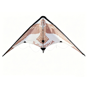 <span class=keywords><strong>Cerf</strong></span>-<span class=keywords><strong>volant</strong></span> de performance d'extérieur pour cascades, impression haute définition, contrôle à double ligne, sports de plein air, la brise facilite le pilotage - Product Image 5