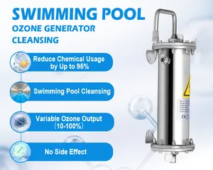 Ad alta efficienza purificatore di acqua pulita ozono piscina trattamento acqua piscina ozono generatore di acqua tubo