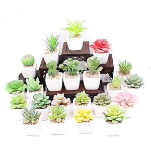 가정용 욕실 또는 작은 공간 장식을위한 플라스틱 냄비에 작은 흰색 인공 다육 식물 - Product Image 5