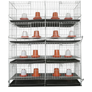 Cage d'élevage avicole moderne automatisée en H, haute capacité pour cailles et poulets de chair - Product Image 2