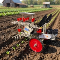 Twee-rijige zelfrijdende groenteplantmachine met verstelbare plantdiepte voor paprika's, tomaten en kool
