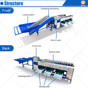 ORME otomatik kiraz domates sıralayıcı küçük <span class=keywords><strong>Mango</strong></span> Kiwi ÇARKIFELEK MEYVESİ sebze boyutu sıralama sınıf makinesi - Product Image 2
