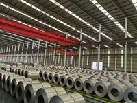 Prix d'usine EVEREST – Bobine prélaquée PPGI de couleur RAL, fabriquée en Chine, exportée, laminée à froid, prépeinte, pour pliage et découpe