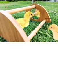 Mini Miroir pour Poussins en Bambou Robuste et Écologique, Perchoir d'Entraînement pour Poulailler, Montage Facile