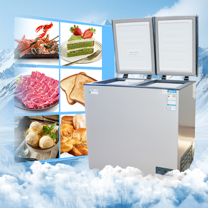 Congélateur Coffre Commercial Silencieux à Double Porte et Refroidissement Direct de 200 Litres, Surgélateur Inverter pour Supermarché et Chambre Froide - Product Image 2