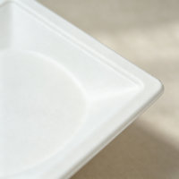 Assiette jetable carrée en bagasse de canne à sucre, résistante à l'huile, compostable, pour aliments chauds
