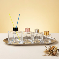 Bouteilles diffuseurs d'aromathérapie de luxe en verre transparent vides de 50ml/100ml/150ml/200ml, rechargeables, pour diffuseurs à bâtonnets, pour parfums d'intérieur et projets DIY