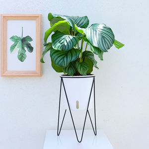 Planta de riego automático Macetas grandes de plástico Cliente 30cm Diámetro grande con marco de hierro al por mayor - Product Image 6