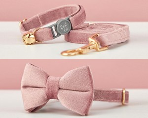 Collar y Correa para Gato Personalizados Breakaway Dustypink Veet con Lazo, Grabado Personalizado con Nombre de Gatito, Hebilla de Seguridad, Dorado Gratis - Product Image 3