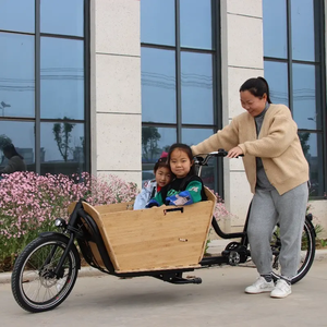 Trimotos bicicleta eléctrica de carga para adultos usada para la familia Triciclo de 2 ruedas Bakfiets <span class=keywords><strong>caja</strong></span> de bicicleta de carga de dos ruedas - Product Image 6