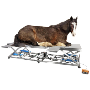Mesa de Examen Veterinario Hidráulica Eléctrica Reutilizable IN-P005 para Cirugía Equina con Elevación Eléctrica Termostática Tipo V para Operaciones de Mascotas - Product Image 1