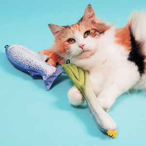 Fabricante CY al por mayor cebolla jengibre pez gato juguetes de peluche conjunto - Product Image 1