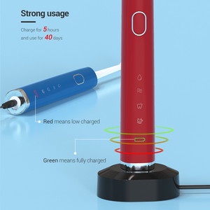 HL-618A Brosse à dents électrique sonique à 40 000 fréquences, rechargeable par USB, brosse à dents vibrante, vente en gros - Product Image 6
