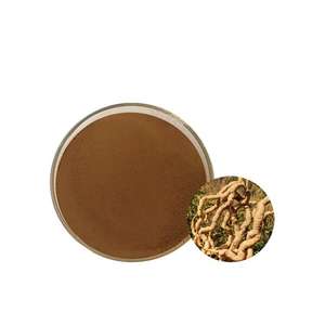 Natural organik Food Grade Morinda <span class=keywords><strong>Officinalis</strong></span> ekstrak bubuk bentuk dalam kemasan vakum wadah Drum plastik - Product Image 4