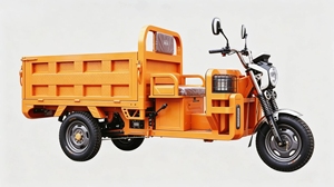 Tricycle 1000W avec benne de 1,6 m, capacité de 800 kg, véhicule à 3 roues pour livraison agricole, CKD haute puissance - Product Image 6