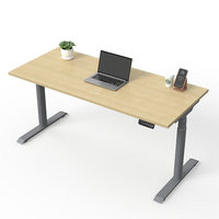 Escritorio Ergonómico Inteligente Moderno de Doble Motor, Ajustable en Altura, de Alta Gama, para Trabajar de Pie o Sentado, con Capacidad para 200 kg, de Madera