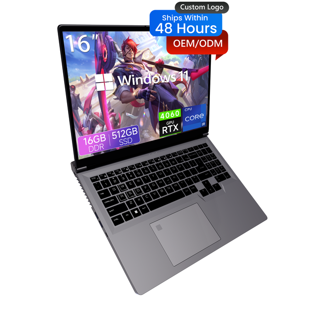 New 16-Inch High-Performance CPU Core I9 13900H Gaming Laptop with SSD IPS Display RTX 4060 8GB GDDR6 144Hz