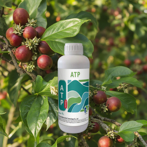 Fertilizante <span class=keywords><strong>Foliar</strong></span> de Aminoácidos Orgánicos Solubles en Agua, Completamente Funcional, Regulador Biológico para Vegetales y Árboles Frutales - Product Image 1