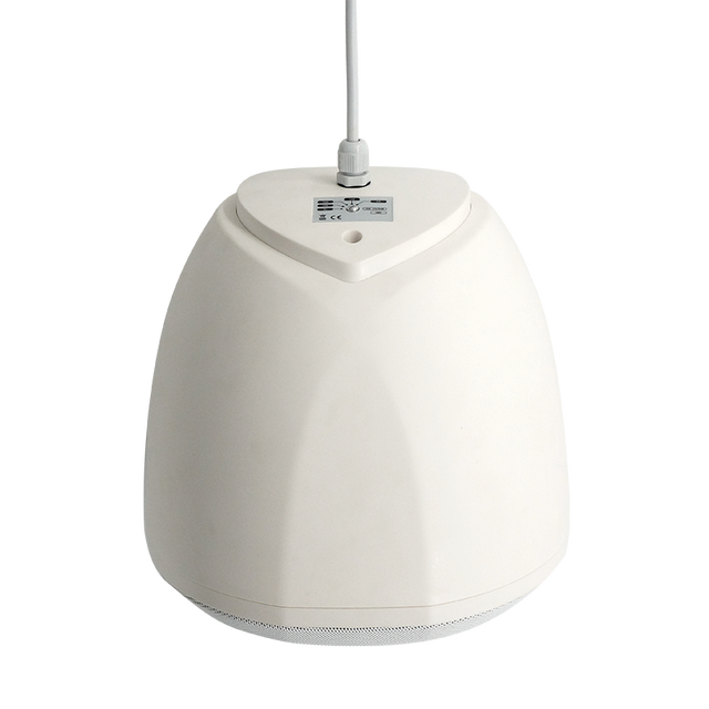 Black / White Ceiling Hanging PA Suspended Speaker Pendant Commercial Ball Speaker with Power Taps