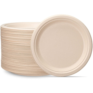 100% Compostable 9 Inch Heavy-Duty Plates Eco-Friendly Disposable Sugarcane Paper Plates