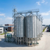 Silo à grains en acier galvanisé inoxydable de 800 tonnes avec cônes de trémie, fabriqué en Chine