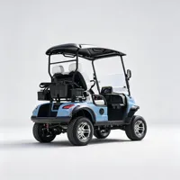 Voiturette de golf haut de gamme 2 places 5KW à batterie lithium haute puissance avec support de sac de golf pour parcours de golf, complexe hôtelier et communauté