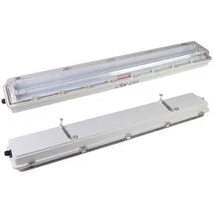 Hot sale BYS IP65 2*18W T8 Explosion Proof led fittings Explosion corrosion Proof linear Lighting Fixtures