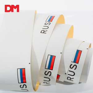 DM-pegatinas para placa de <span class=keywords><strong>matrícula</strong></span> de coche, tecnología antipostizas de alta calidad, tipo relieve, Rusia - Product Image 6
