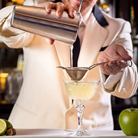 Ensemble de shaker à cocktails Boston en acier inoxydable 21 pièces - Kit d'outils de barman professionnel pour la préparation de boissons à la maison