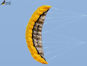 Cerf-volant de Sport à 2 lignes de 2.5m, nouveau design - Product Image 5