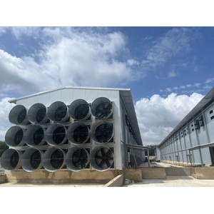 บ้านไก่แบบสำเร็จรูปโครงสร้างเหล็กแบบเวียดนามชั้นสำหรับใช้ในฟาร์มสัตว์ปีก - Product Image 6