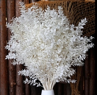 Daun Eucalyptus Alami yang Diawetkan, Bunga Ruscus Italia, Daun Ruscus Asli yang Diawetkan untuk Pernikahan, Hari Valentine, Wisuda