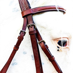 Horse Bridle Black-Cob Model Wholesale Handmade Full Size Leather Reins Durable <b>Equestrian</b> Tack Riding Training - Product Image 5