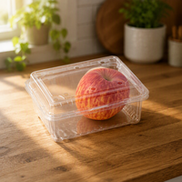 Fabriek Levering Vierkante Clamshell Box Transparant Doos Clamshell Plastic Verpakking Plastic Doorzichtig Fruit Verpakking