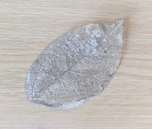 Daun padat pembuluh darah kering alami warna-warni untuk pembatas buku DIY bingkai lukisan buatan tangan dekorasi - Product Image 3