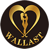 Wallast (dongguan) Industry And Trade Co., Ltd. logo