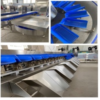 Sorteermachine voor appels, uien, citrusvruchten en groenten