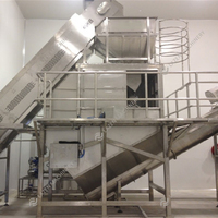 Hoge Kwaliteit Bananensap Pulp Puree Pasta Wijn Maken Vulmachine Verwerkingslijn Productie Fabriek