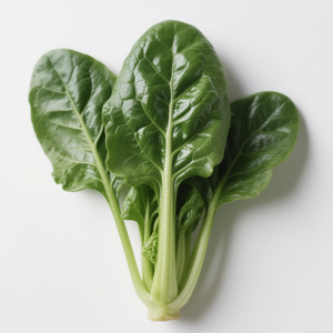 Vegetales Congelados de Alta Calidad en Oferta, Certificados por HACCP y BRC, Espinacas Congeladas IQF Cortadas - Product Image 1