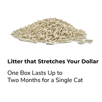 Litière pour chat en tofu broyé en vrac, parfum thé vert, forte désodorisation, biodégradable et jetable aux toilettes, fabriquée en Chine