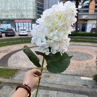 Y-H227 Vente en gros de fleurs artificielles d'hortensia paniculata, fleurs réalistes au toucher, fleurs de remplissage en soie, hortensias blancs et verts, fleurs de mariage