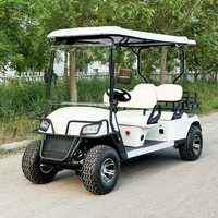 Voiturette de golf électrique tout-terrain homologuée pour la route, accessoires pour voiturette de golf Yamaha G29, buggy de golf tout-terrain pour les centres de villégiature et les hôtels
