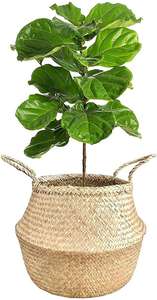 Настенные корзины для хранения в ванной, фетровые, складные, набор из 2 штук, белые, плетеные из ротанга, круглые, 32 дюйма, для фруктов и белья, 2,5 бушеля - Product Image 3