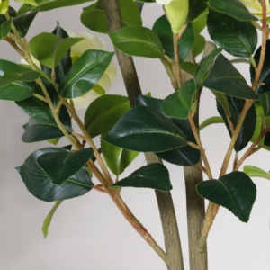 Plastic Camellia Artificial Potted Plant Outdoor Indoor for Office Garden Decoration Home Decor Faux Trees Artificial Plants - Product Image 4