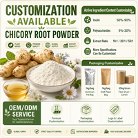 Poudre de racine de chicorée blanche de qualité alimentaire, riche en inuline, probiotiques intestinaux naturels à base de plantes, aliment fonctionnel brut